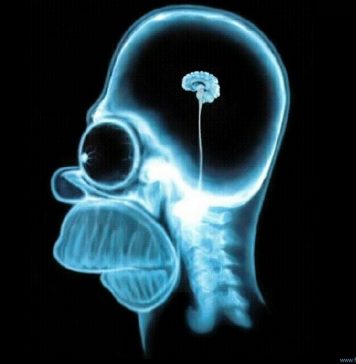 Doctors: the brain of a man is almost impossible to distinguish from the brain of a woman!