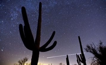 The Mystery of the Geographer’s Adventures The Mystery of the Geographer's Adventures