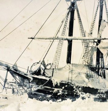 Fearless Polar Explorer Fearless Polar Explorer