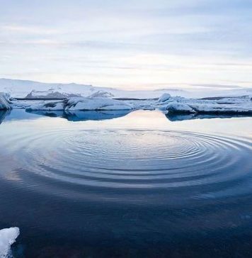 polar ice