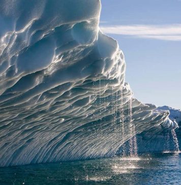 polar ice