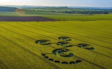 Crop Circles Crop Circles