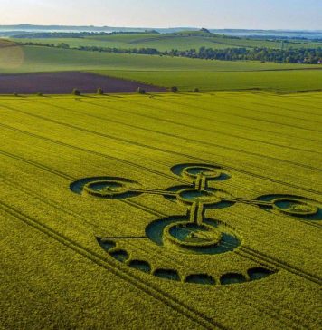 Crop Circles