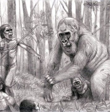 Gigantopithecus