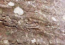 Gosford Hieroglyphs