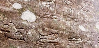 Gosford Hieroglyphs