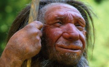 Humans Became Humans