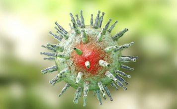 Going Viral: 6 New Findings about Viruses herpesvirus