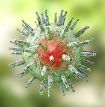 herpesvirus